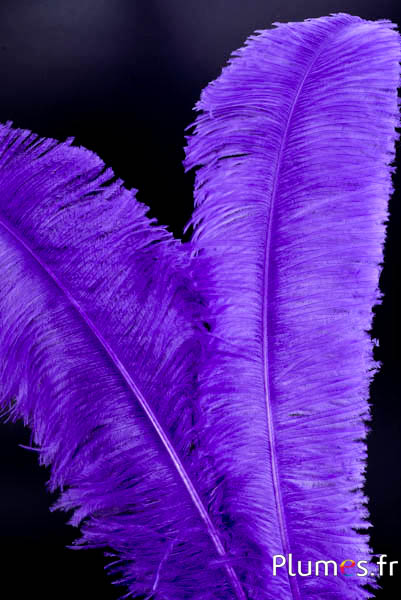 Strauß zugeschnitten - 50-60 cm - violett